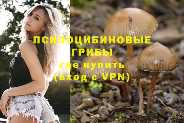 шишки Козловка