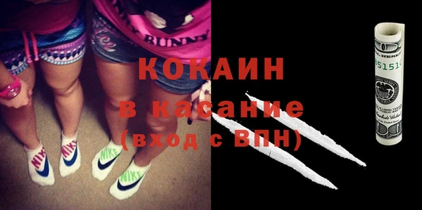 шишки Козловка