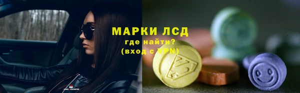 PSILOCYBIN Кодинск