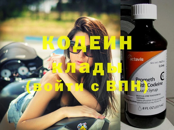 шишки Козловка
