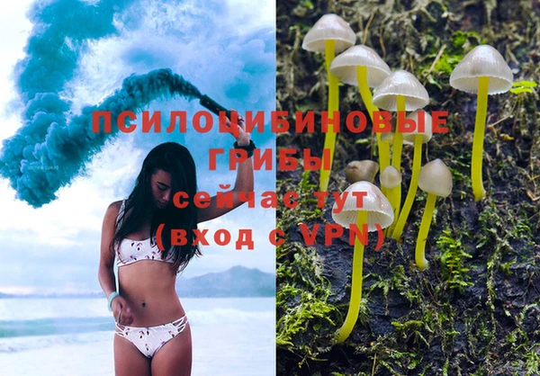 шишки Козловка