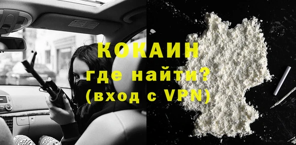 шишки Козловка