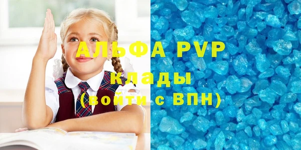 PSILOCYBIN Кодинск