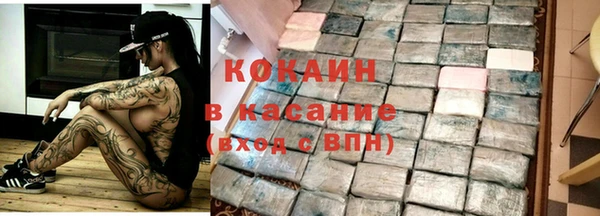 шишки Козловка