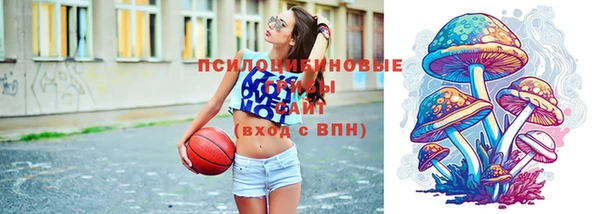 шишки Козловка