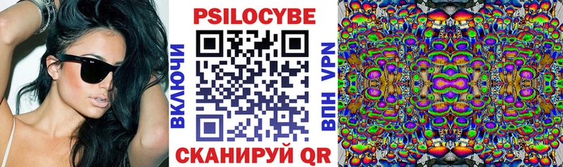 Псилоцибиновые грибы GOLDEN TEACHER  Ногинск 