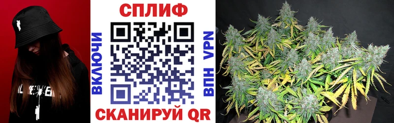 kraken вход  купить закладку  Ногинск  МАРИХУАНА Bruce Banner 